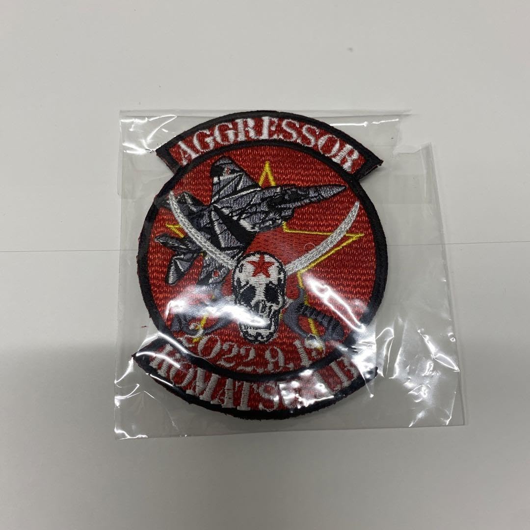 航空自衛隊 小松基地 航空祭 記念塗装ワッペン 両記念塗装機とも本日、飛んでいただけたそうです🌸🚄 1日でも